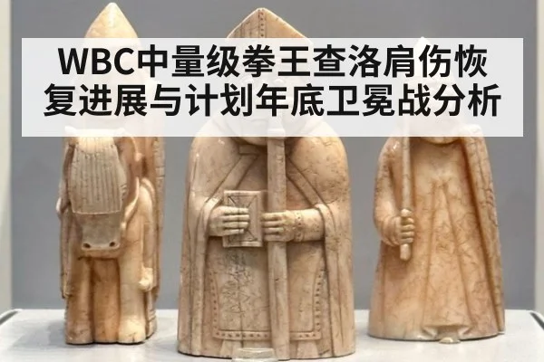 WBC中量级拳王查洛肩伤恢复进展与计划年底卫冕战分析